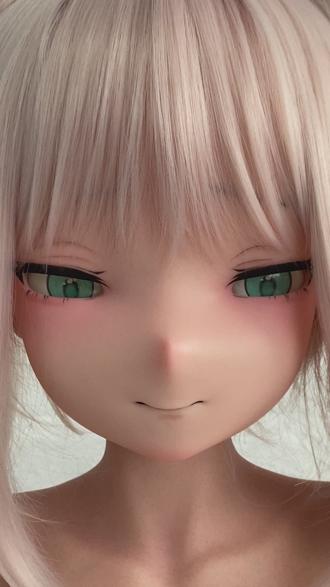 動画を読み込む: 